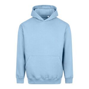 Awdis Unisex Adult Vision Heavyweight Hoodie / Ice Blue